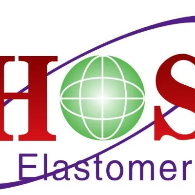 Suzhou Hongshuo Elastomer Technology Co., Ltd. logo