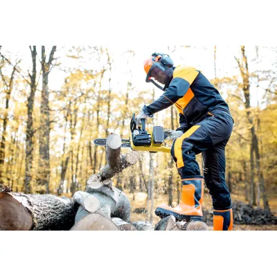 Nottingham Tree Surgeons