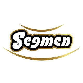 Segmen Gida
