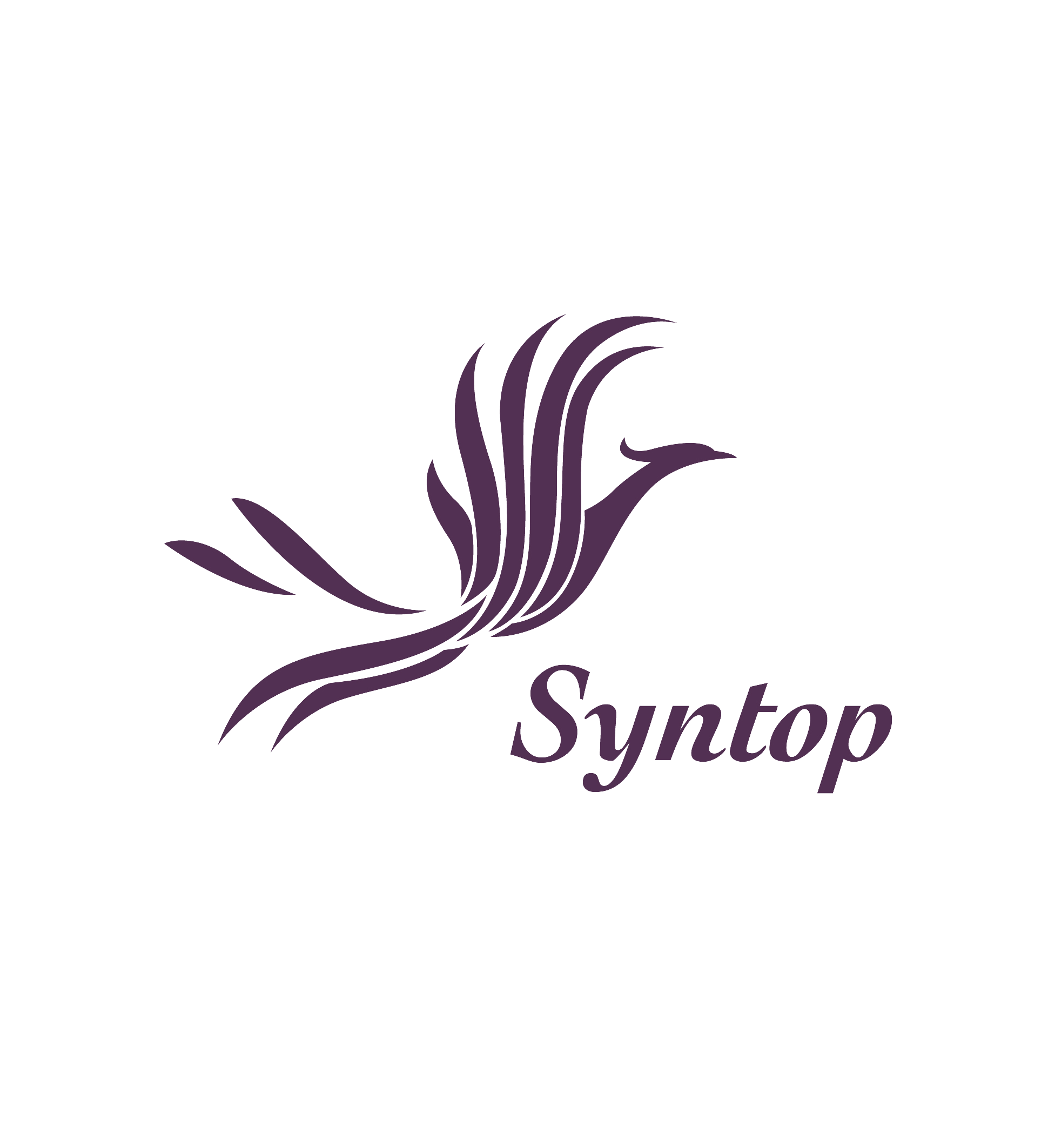 Syntop Chemical Co., Ltd.