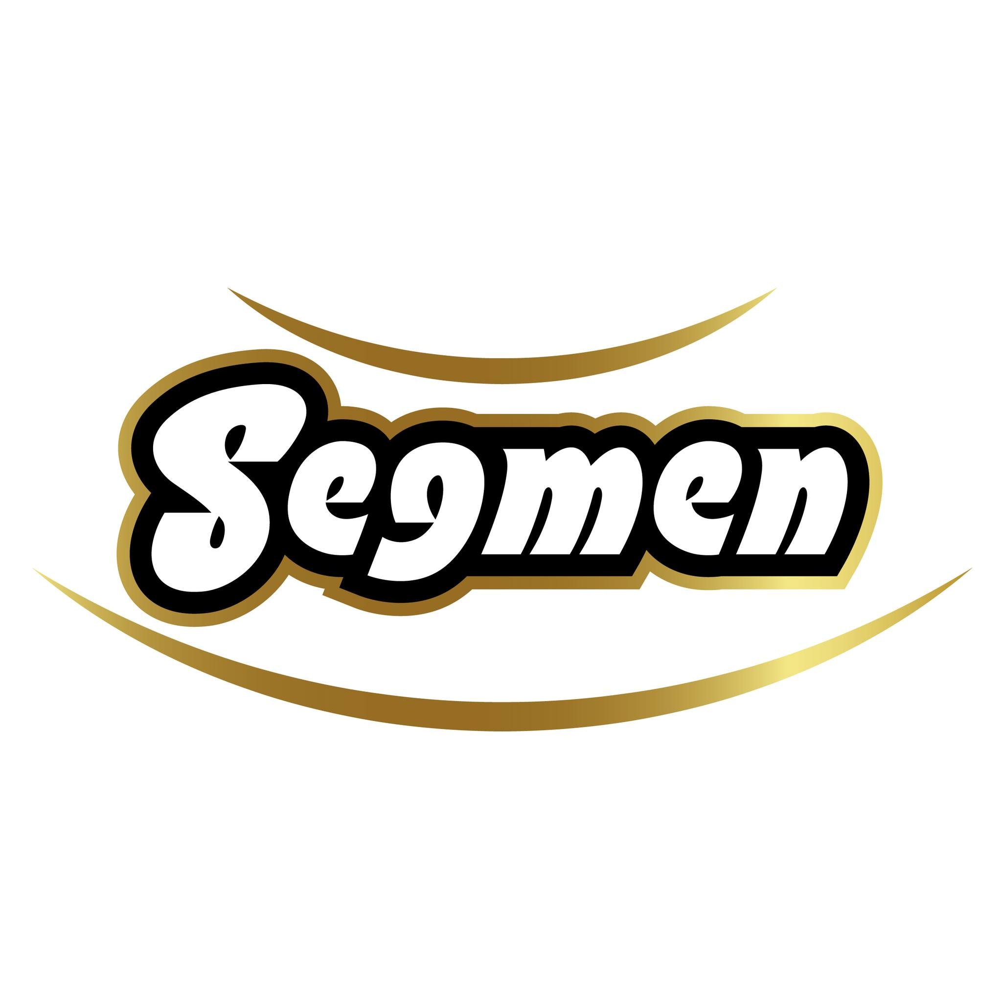 Segmen Gida