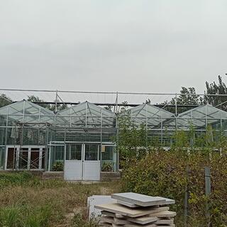 Intelligent Eco Hydroponic Greenhouse