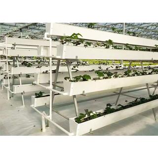 Intelligent Eco Hydroponic Greenhouse image 6