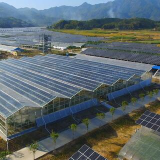 Photovoltaic Greenhouse