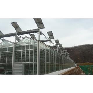 Photovoltaic Greenhouse image 6
