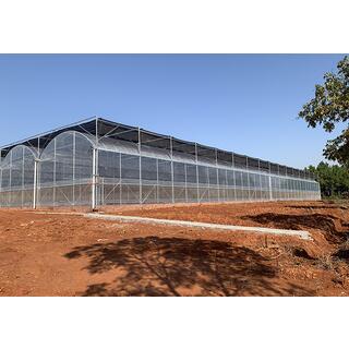 Plastic Circular Greenhouse image 8