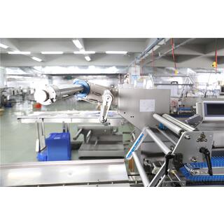Box motion flow wrapping machine - SW60E image 2