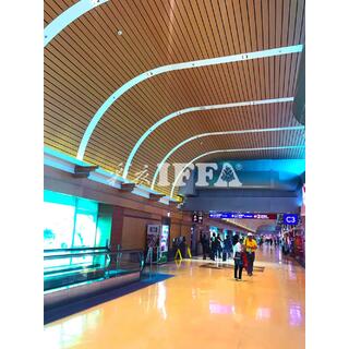 Heat Release Transfer Printing Film (TO FILM) image 2