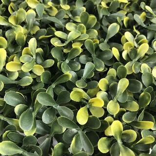 Eco-friendly Easy-to-install Decorative Artificial Boxwood Hedge For Wall