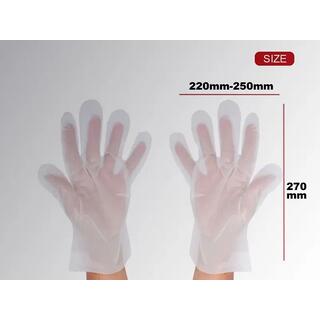Disposable TPE Glove
