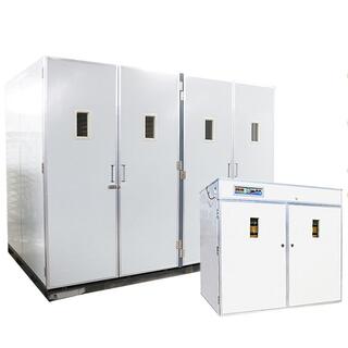 Poultry Farm Agricultural Machinery Automatic Chicken Egg Incubator Hatching 10000 Eggs image 9