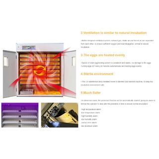 Poultry Farm Agricultural Machinery Automatic Chicken Egg Incubator Hatching 10000 Eggs image 12