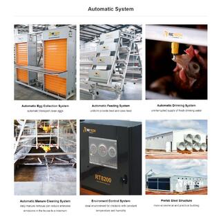 Automatic A Type Poultry Farm Layer Chicken Cage image 8