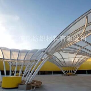 1100G PVDF Ultra-White Blue Light Film