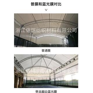 1100G PVDF Ultra-White Blue Light Film image 7