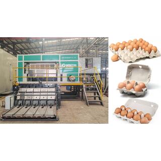 Egg Tray Machine