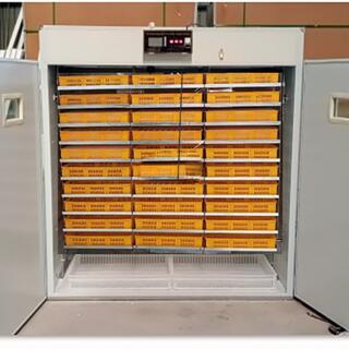 Solar Industrial Chicks Egg Incubator Machine
