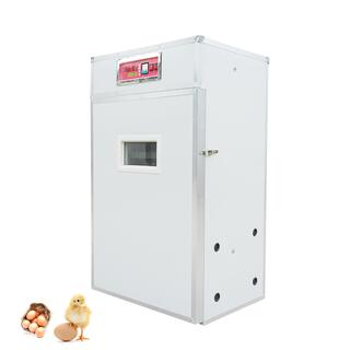 Emu Egg Incubator For Bird Eggs