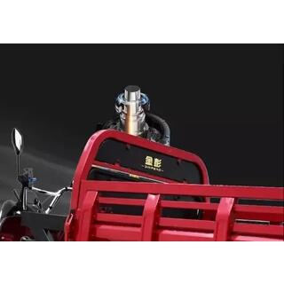 DLS150Pro Electric Cargo Tricycle image 7