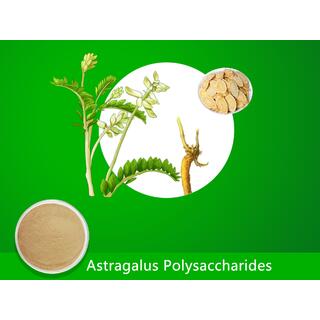 Astragalus Polysaccharides (20.00%-70.00%)