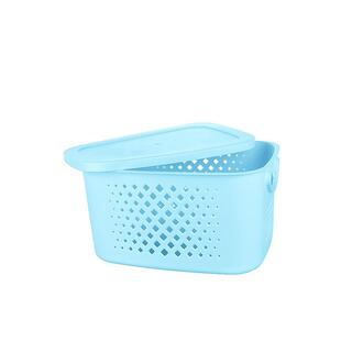 Kat Kat With Lid Basket Small Size TP-754 image 3