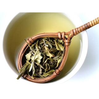 White Tea - White Peony Tea image 3
