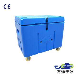 Dry Ice Box ICO300/Dry Ice Containers For Cold Chain Transportation