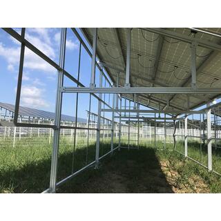 Solar Energy Agricultural Solar Mounting System For Farm image 2