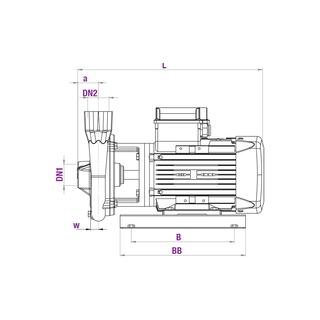 MSL / TSL - 40 Single Phase / Three Phase Monoblock Electro-Pumps image 2