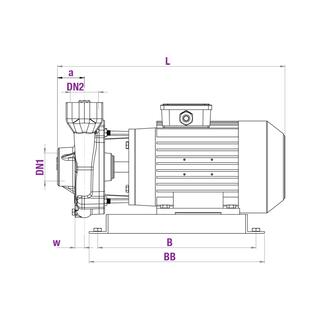 TSL - 50 Three Phase Monoblock Electro-Pumps image 2