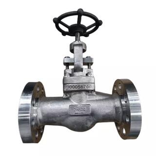 ASTM A182 F51 Globe Valve, ASME B16.34, 2 Inch, 600 LB, RF