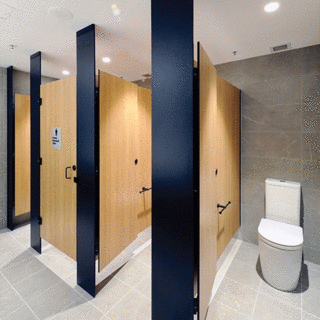 Factory Gym Room Shower Toilet-Cubicles-for-Sale Ready-Made-Toilet-Cubicles image 2