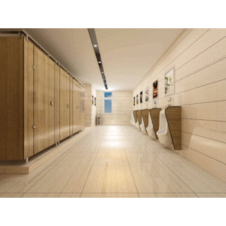 Popular High Quality Commercial Solid Surface HPL Shower Cubicle Toilet Dimensions Toilet Cubicles for Sale image 5