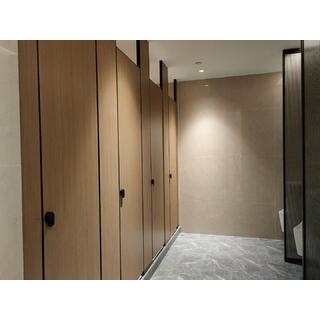Waterproof Decorative High Pressure HPL Compact Laminate Toilet Door Toilet Partition