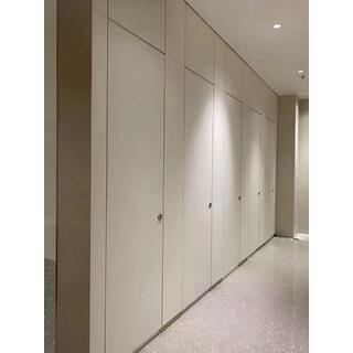 Waterproof Decorative High Pressure HPL Compact Laminate Toilet Door Toilet Partition image 2