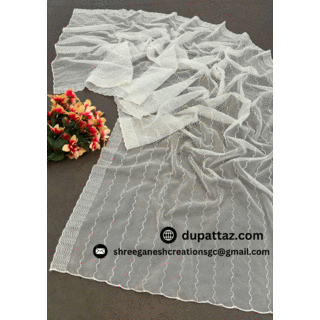 Dyeable Organza Dupatta