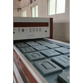 TM3000 Automation High Gloss Membrane Press Machine
