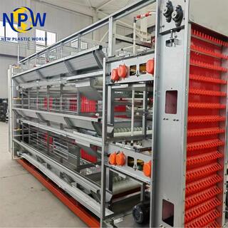 H-Type Automatic Egg Layer Chicken