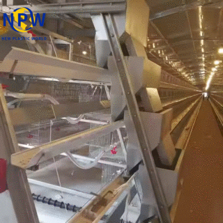 A-Type Automatic Egg Layer Chicken Cage