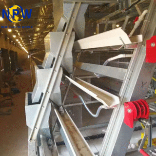 A-Type Automatic Egg Layer Chicken Cage image 3