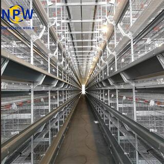 H-Type Broiler Cage Equipment