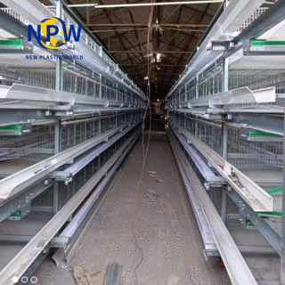 H-Type Broiler Cage Equipment image 3