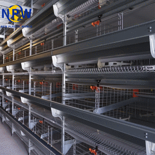 Broiler Poultry Farming H Type Fully Automatic Battery Chicken Broiler Cage System