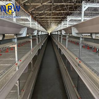 Broiler Poultry Farming H Type Fully Automatic Battery Chicken Broiler Cage System image 3