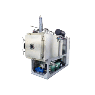 TOFFON freeze dryer 