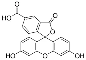 5-Carboxyfluorescein (5-FAM) - CAS No: 76823-03-5