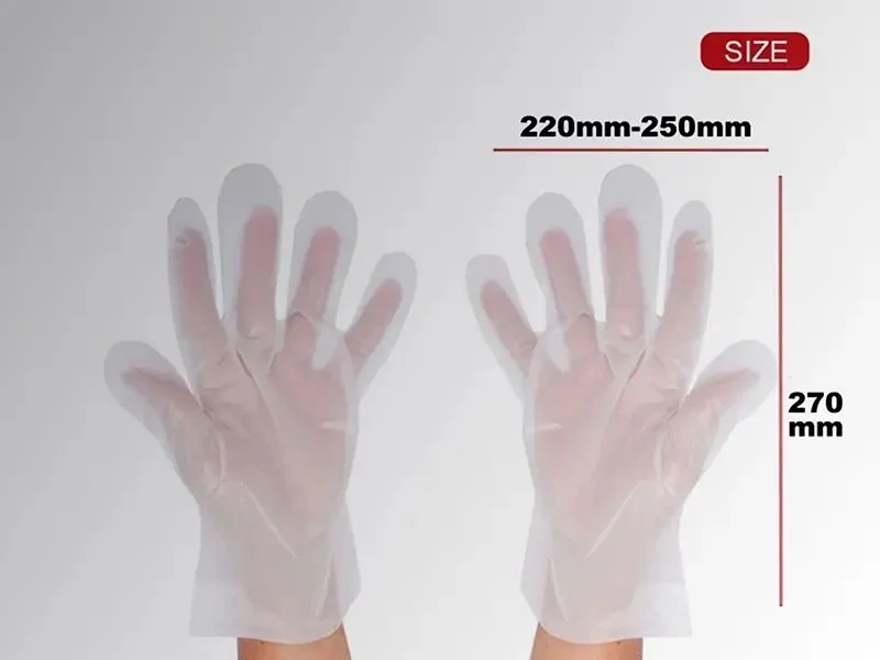 Disposable TPE Glove