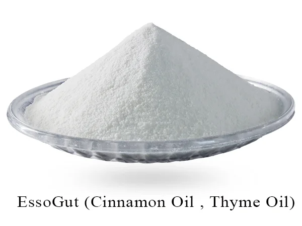 EssoGut (Cinnamon Oil, Thyme Oil)