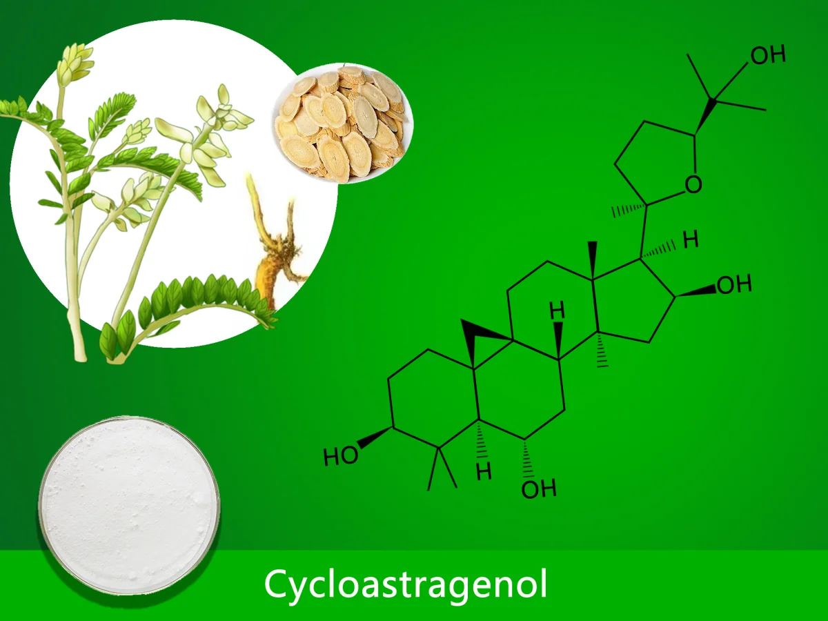 Cycloastragenol (1.00%-99.00%)
