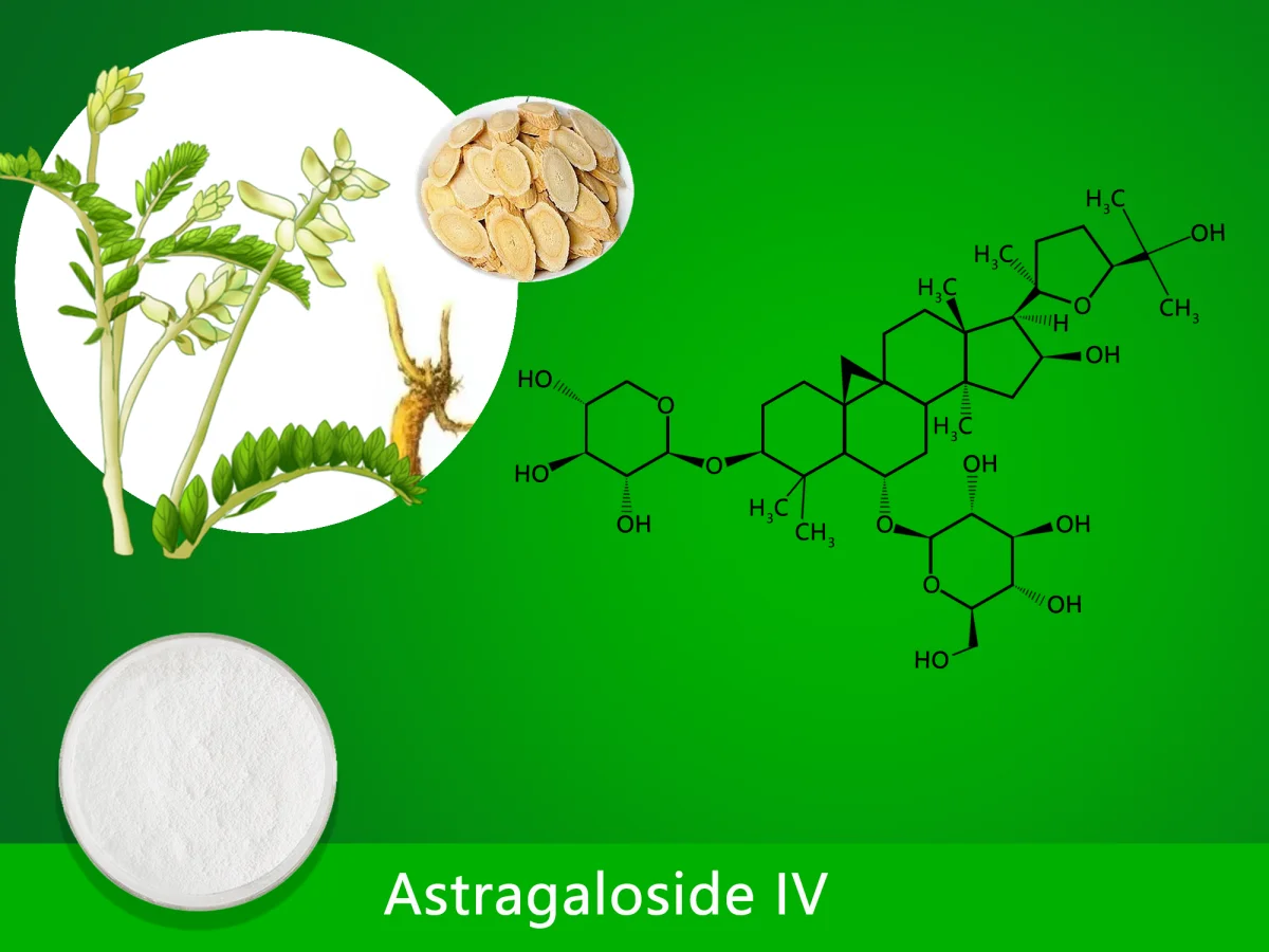 Astragaloside IV (0.30%-99.00%)